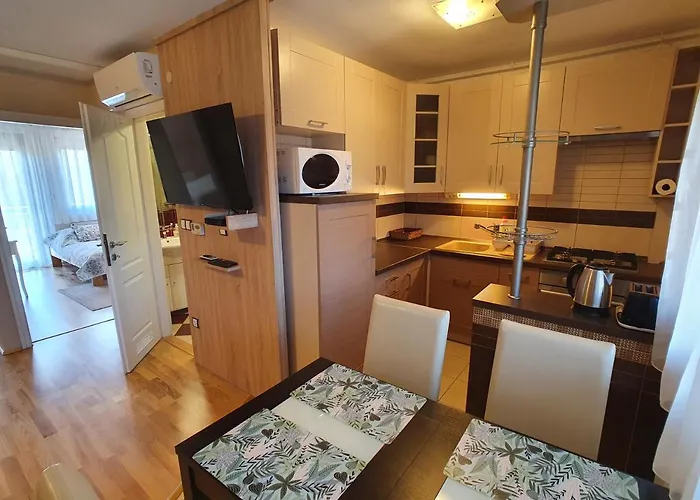 Dorci - Nr 178 Biro Tours *